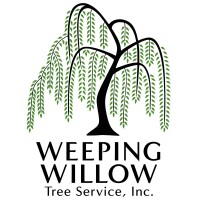 Weeping willow