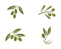 Olive branch resourcing llc.