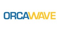 Orca wave