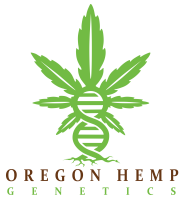 Oregon hemp genetics