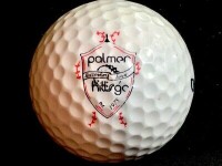 Palmer hills golf course