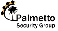 Palmetto business group inc