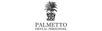 Palmetto dental personnel inc