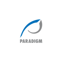 Paradigm information systems