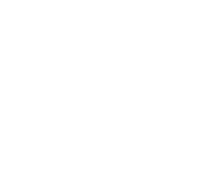 Paradise creative group