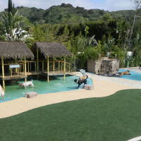 Paradise ranch pet resort