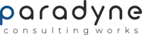 Paradyne consulting works llc