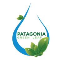 Patagonia green leaf