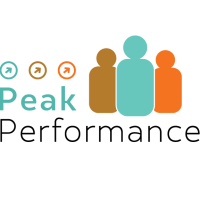 Peak performance consultants
