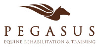 Pegasus training and equine rehabilitation center