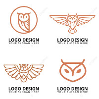 Owl club casino