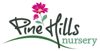 Pine hill nursery