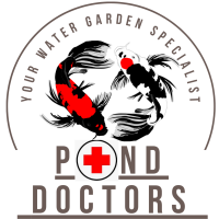 Pond doctors