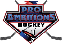 Pro ambitions hockey, inc.