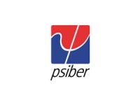 Psiber data