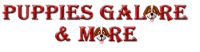 Puppies galore &amp; more