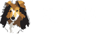 Pupsi inc