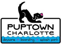 Puptown doggy daycare