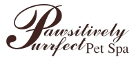 Pawsitively purrfect pet grooming salon
