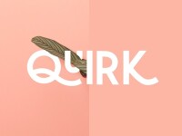 Quirk designs