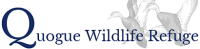 Quogue wildlife refuge