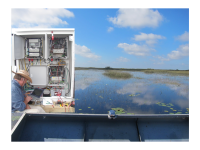 Rapid creek research