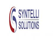 Syntelli Solutions Inc.