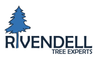 Rivendell tree experts