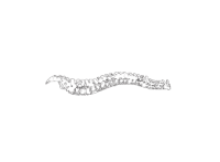 Rolley family chiropractic