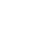 Roots handmade pizza, llc