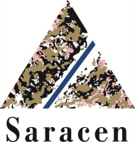 Saracen gold mines pty ltd