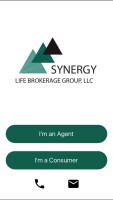 Synergy life brokerage group llc