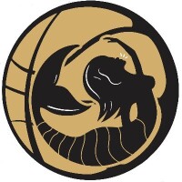 Scottsdale titans basketball