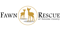 Sonoma county wildlife rescue