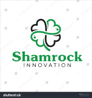Shamrock siding & windows