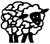 Sheep draw veterinary hospital