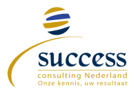 Success consulting