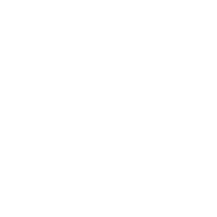 Speedways electric