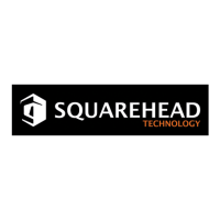 Squarehead technology