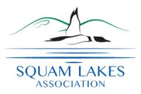 Squam lakes conservation society