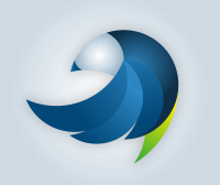 Statement corporation
