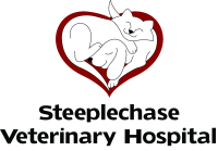 Steeplechase veterinary hospital