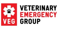 Strategic emergency group llc