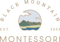 Swannanoa valley montessori