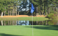 Swansea country club