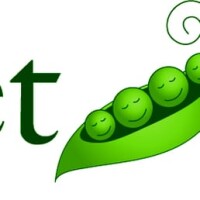 Sweet peas nanny and babysitting agency, llc