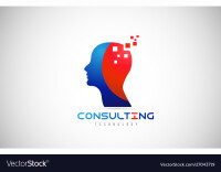 Technology consultants
