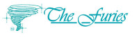 The furies cleaning service & linen rentals
