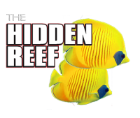 The hidden reef, inc.