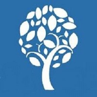 The lead tree, llc